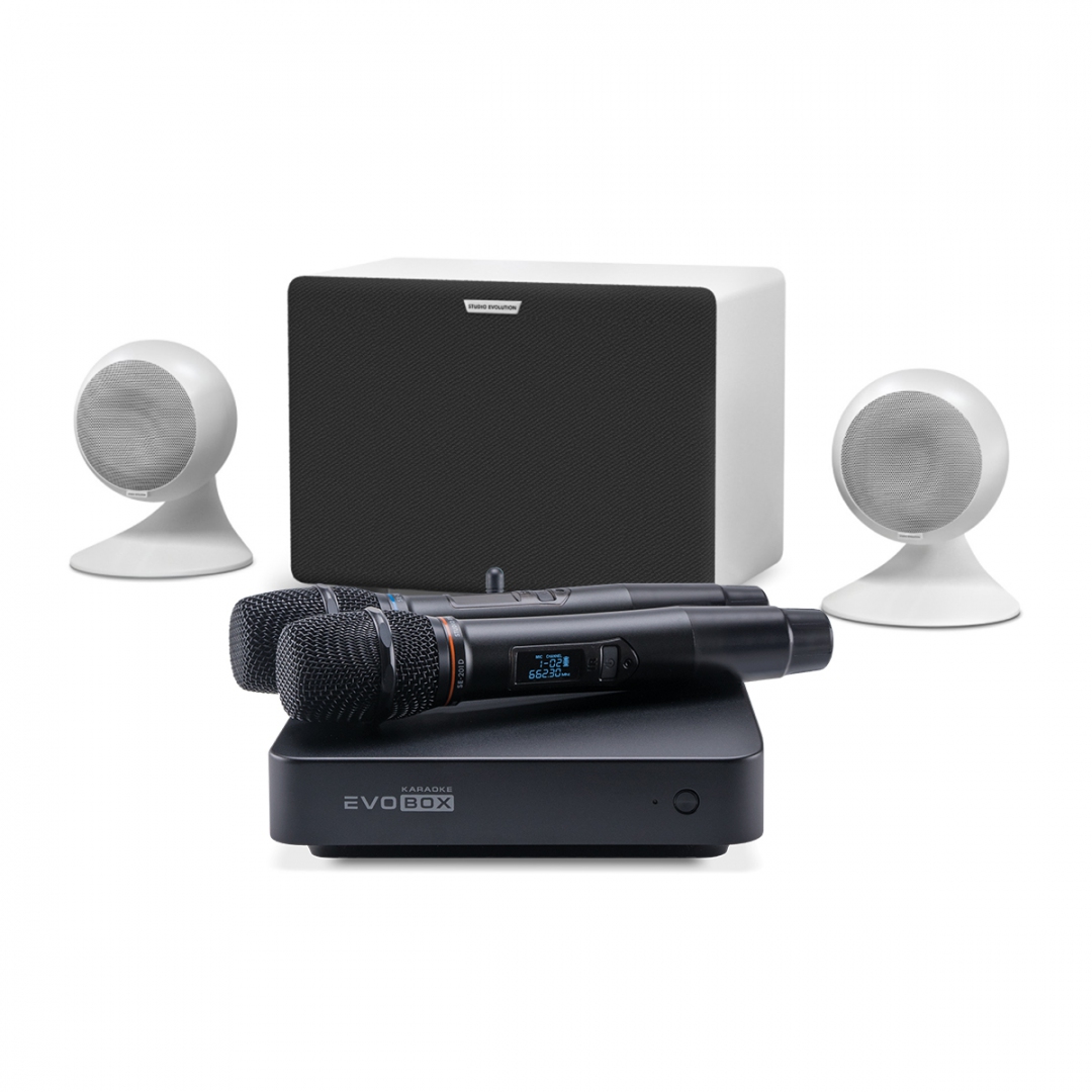 караоке-комплект EVOBOX Classic + EvoSound Sphere 2.1 в Энгельсе