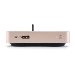 EVOBOX Classic караоке-система для дома в Энгельсе