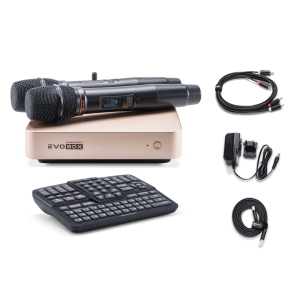 EVOBOX Classic караоке-система для дома в Энгельсе
