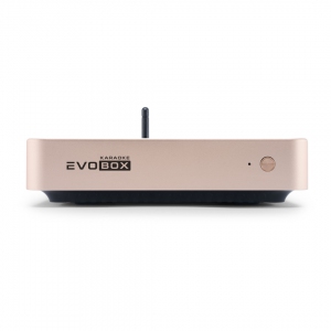 EVOBOX Plus караоке-система для дома в Энгельсе